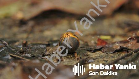 Denizli’de yaşanan son olaylar hakkında bilgi sahibi olun!