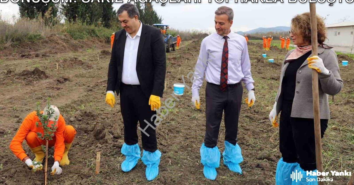 "Dalaman Cezaevi Arazisinde Tarımsal Dönüşüm: Sakız Ağaçları Toprakla Buluştu" başlıklı haber için f