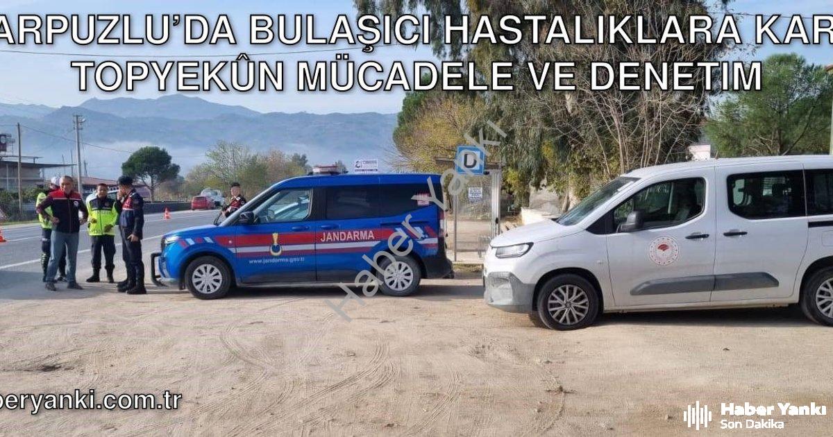 "Karpuzlu’da Bulaşıcı Hastalıklara Karşı Topyekûn Mücadele ve Denetim" başlıklı haber için fotoreali