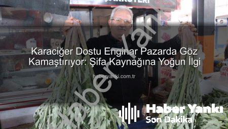 Karaciğer Dostu Enginar Pazarda Göz Kamaştırıyor: Şifa Kaynağına Yoğun İlgi