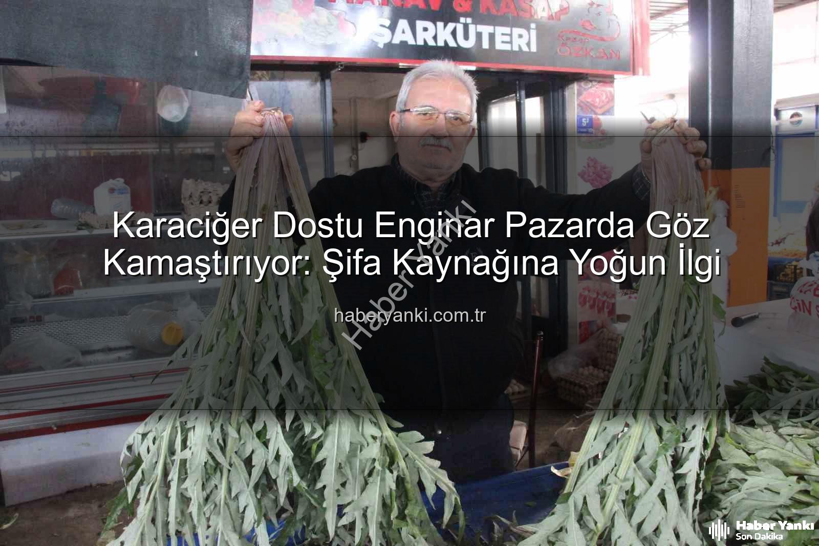 karaciğer dostu enginar - Karaciğer Dostu Enginar Pazarda Göz Kamaştırıyor: Şifa Kaynağına Yoğun İlgi