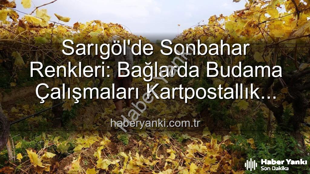 Sarıgöl bağları - Sarıgöl'de Sonbahar Renkleri: Bağlarda Budama Çalışmaları Kartpostallık Manzaralar Eşliğinde Sürüyor