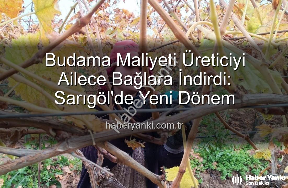 budama maliyeti - Budama Maliyeti Üreticiyi Ailece Bağlara İndirdi: Sarıgöl'de Yeni Dönem