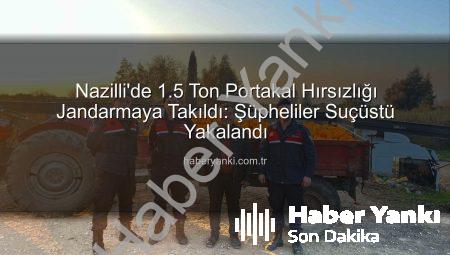 Nazilli’de 1.5 Ton Portakal Hırsızlığı Jandarmaya Takıldı: Şüpheliler Suçüstü Yakalandı