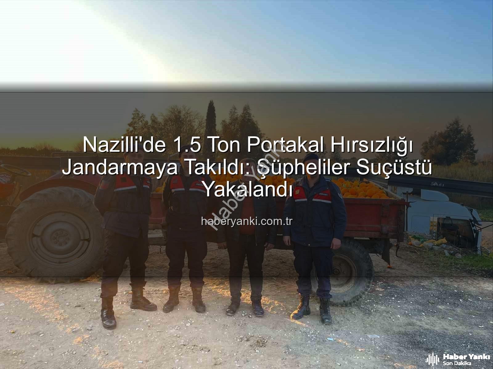 portakal hırsızlığı - Nazilli'de 1.5 Ton Portakal Hırsızlığı Jandarmaya Takıldı: Şüpheliler Suçüstü Yakalandı