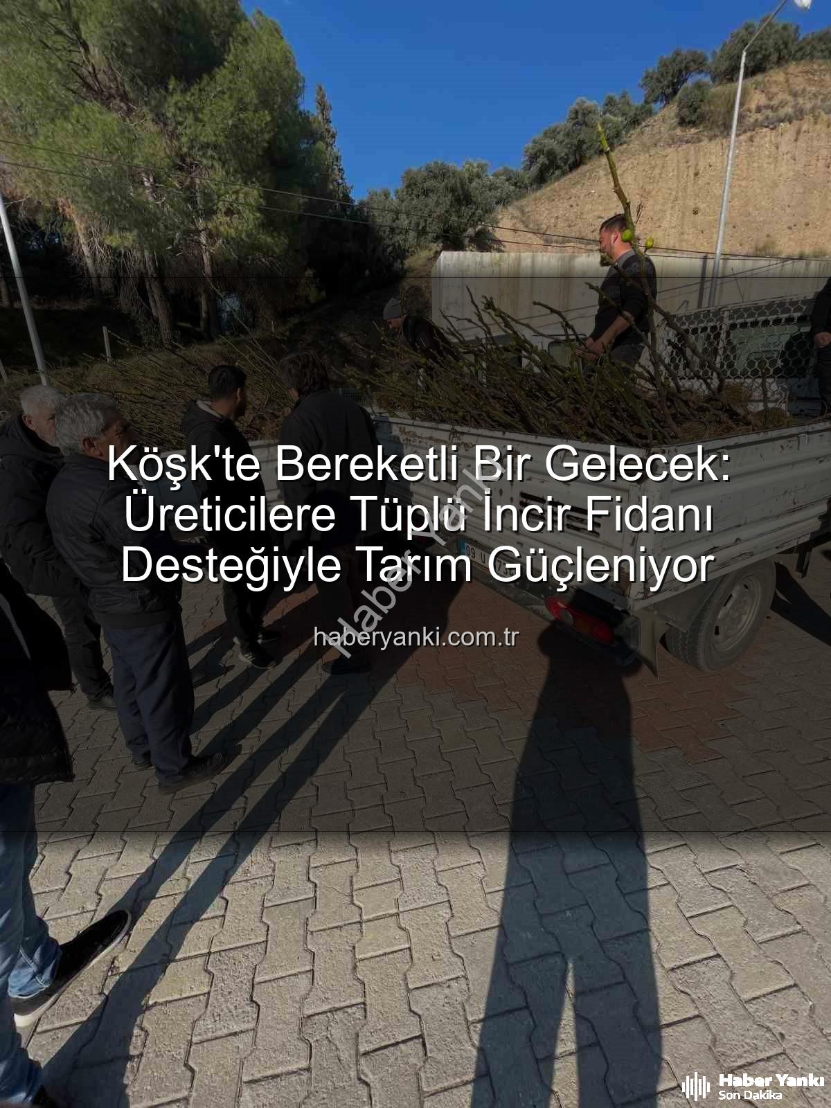 tüplü incir fidanı - Köşk'te Bereketli Bir Gelecek: Üreticilere Tüplü İncir Fidanı Desteğiyle Tarım Güçleniyor