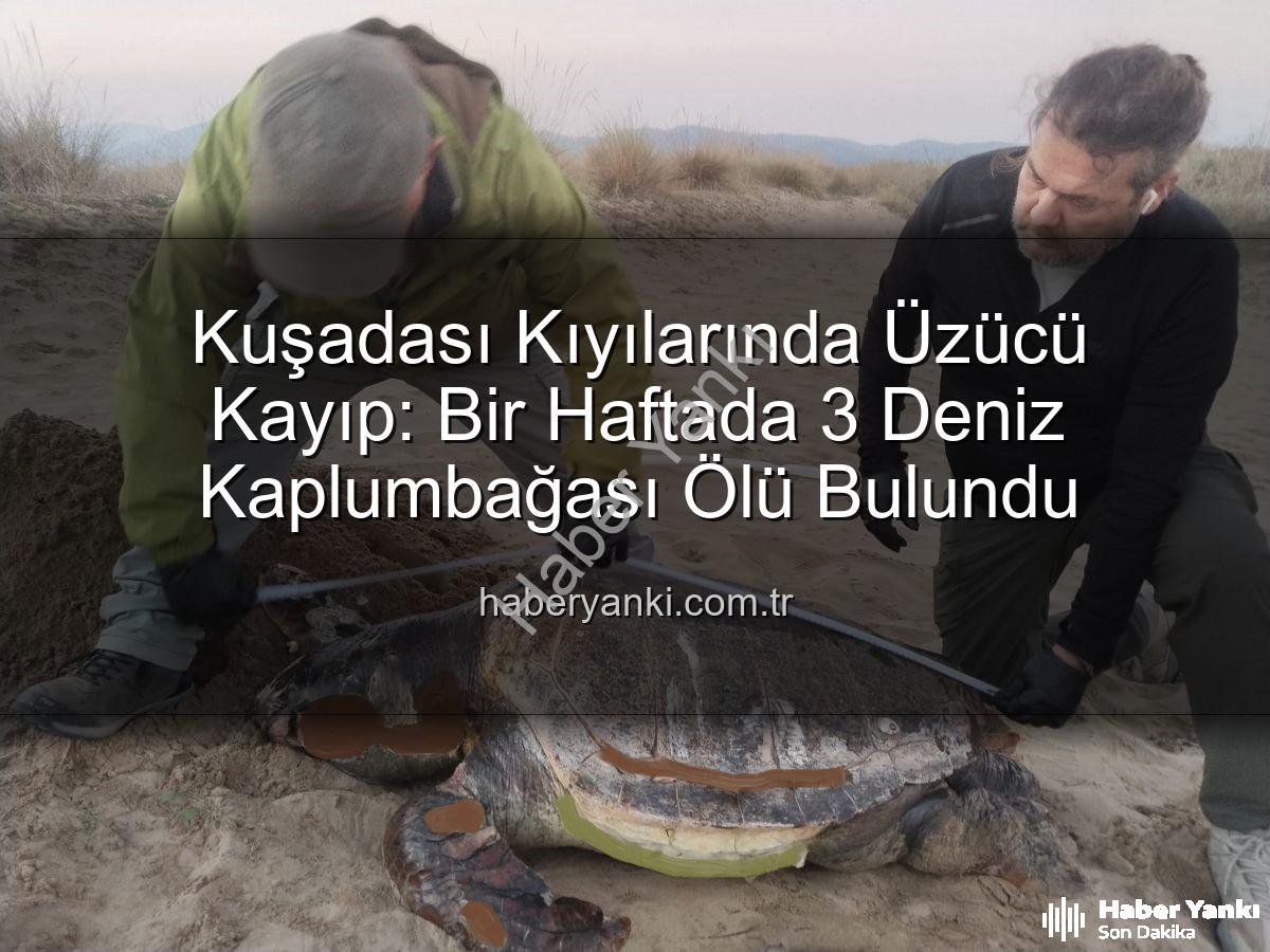 deniz kaplumbağası ölümleri - Kuşadası Kıyılarında Üzücü Kayıp: Bir Haftada 3 Deniz Kaplumbağası Ölü Bulundu