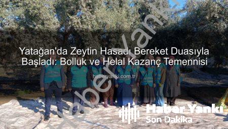 Yatağan’da Zeytin Hasadı Bereket Duasıyla Başladı: Bolluk ve Helal Kazanç Temennisi