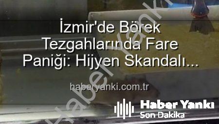 İzmir’de Börek Tezgahlarında Fare Paniği: Hijyen Skandalı Ortaya Çıktı, İşletme Mühürlendi!
