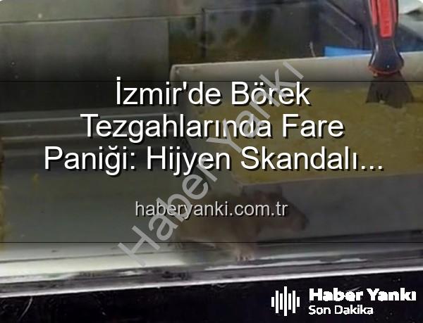 izmir börekçi fare - İzmir'de Börek Tezgahlarında Fare Paniği: Hijyen Skandalı Ortaya Çıktı, İşletme Mühürlendi!