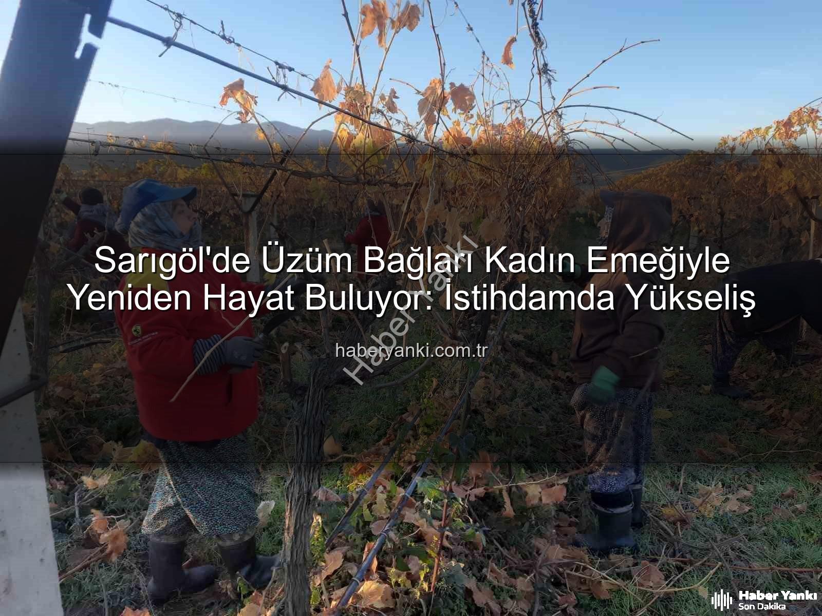 kadın istihdamı - Sarıgöl'de Üzüm Bağları Kadın Emeğiyle Yeniden Hayat Buluyor: İstihdamda Yükseliş