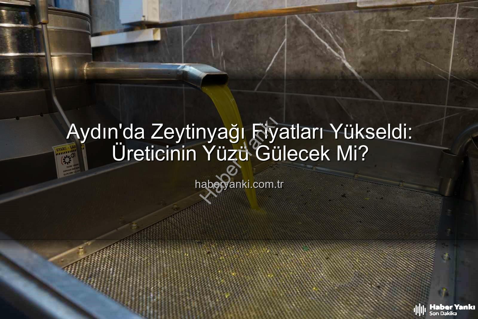 zeytinyağı fiyatları - Aydın'da Zeytinyağı Fiyatları Yükseldi: Üreticinin Yüzü Gülecek Mi?