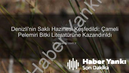 Denizli’nin Saklı Hazinesi Keşfedildi: Çameli Pelemiri Bitki Literatürüne Kazandırıldı