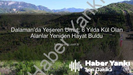 Dalaman’da Yeşeren Umut: 6 Yılda Kül Olan Alanlar Yeniden Hayat Buldu