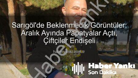 Sarıgöl’de Beklenmedik Görüntüler: Aralık Ayında Papatyalar Açtı, Çiftçiler Endişeli