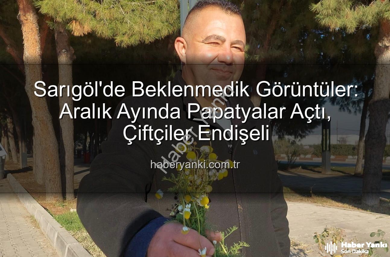 Aralık ayı papatyaları - Sarıgöl'de Beklenmedik Görüntüler: Aralık Ayında Papatyalar Açtı, Çiftçiler Endişeli