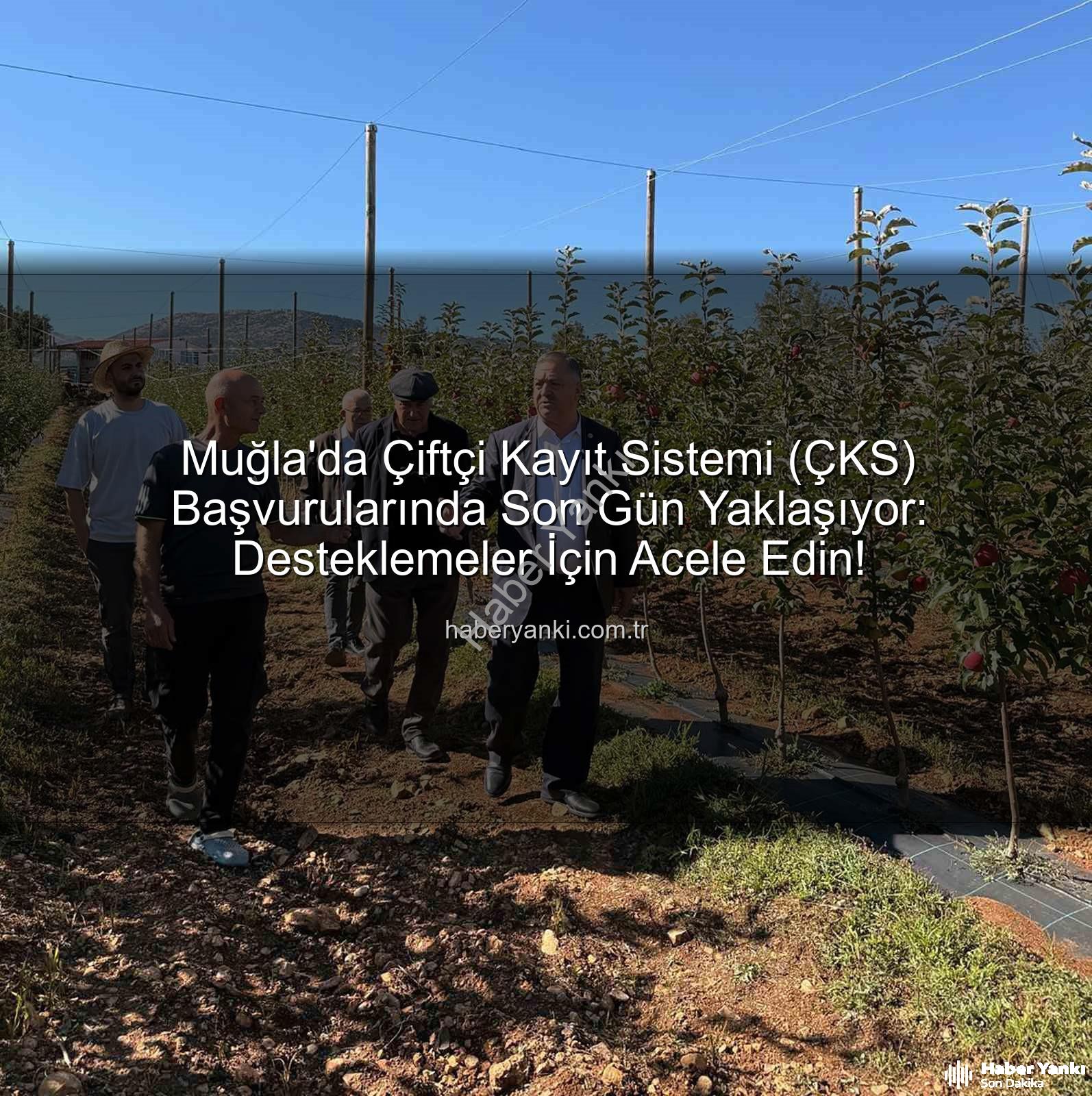 ÇKS başvuruları - Muğla'da Çiftçi Kayıt Sistemi (ÇKS) Başvurularında Son Gün Yaklaşıyor: Desteklemeler İçin Acele Edin!